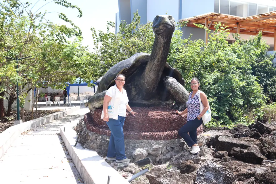 Visita a la escultura de la tortuga gigante en la Sede