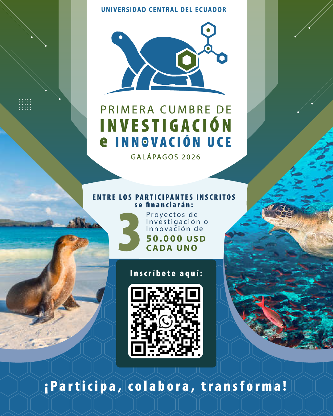 Flyer promocional de la Cumbre para Facebook e Instagram